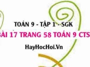 Bài 17 trang 58 Toán 9 tập 1 Chân trời sáng tạo